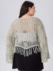 Round Neckline Solid Hollow Out Tassel Knitted Crop Long Sleeve Top Curve & Plus