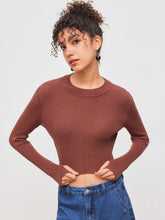Knit Round Neckline Solid Long Sleeve Crop Top