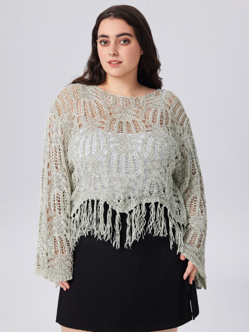 Round Neckline Solid Hollow Out Tassel Knitted Crop Long Sleeve Top Curve & Plus