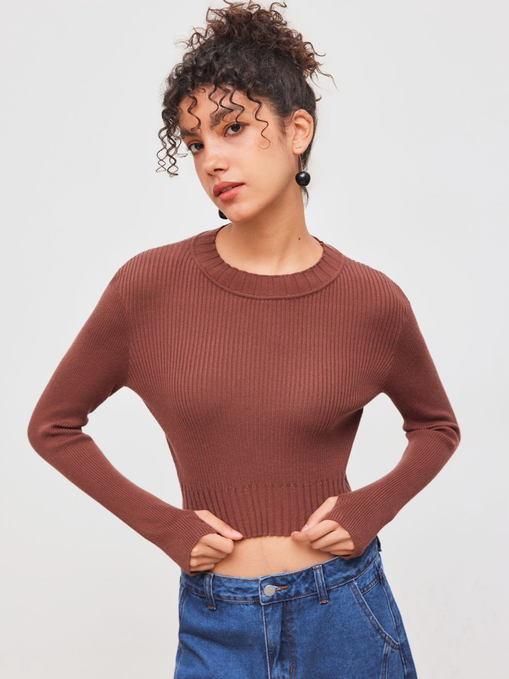 Knit Round Neckline Solid Long Sleeve Crop Top